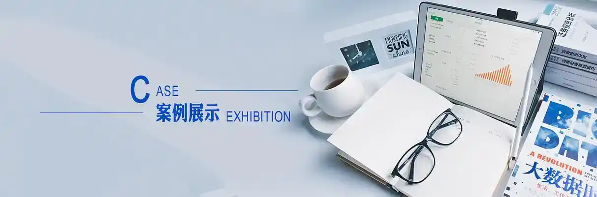 巨野县软件开发